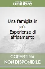 Una famiglia in più. Esperienze di affidamento Prezzo Basso