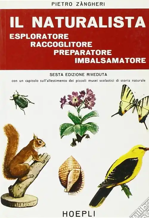 Il naturalista esploratore, raccoglitore, preparatore, imbalsamatore Offerta Lampo