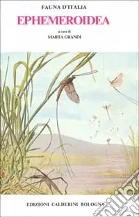 Offerta Lampo Ephemeroidea