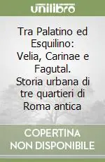 Tra Palatino ed Esquilino Velia, Carinae e Fagutal. Storia urbana di tre quartieri di Roma antica Soddisfatti O Rimborsati