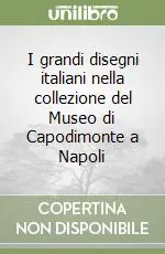 Prezzo Scontato I grandi disegni italiani nella collezione del Museo di Capodimonte a Napoli