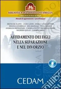 L‘affidamento dei figli nella separazione e nel divorzio. Con DVD-ROM Prezzo Conveniente