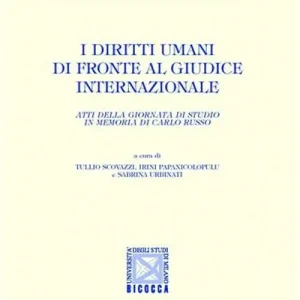 I diritti umani di fronte al giudice internazionale. Atti della Giornata di studio in memoria di Carlo Russo Affare