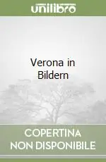 Verona in Bildern Offerta Lampo