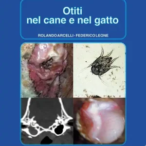 Prezzo Scontato Otiti nel cane e nel gatto