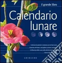 Calendario lunare Prezzo Conveniente