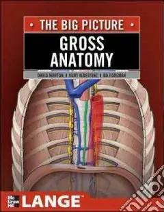 Must-Have Gross anatomy The Big Picture
