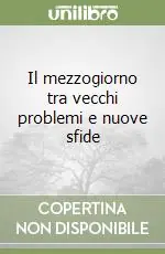 Consegna Rapida Il mezzogiorno tra vecchi problemi e nuove sfide