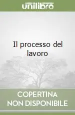 Il processo del lavoro Ultima Occasione