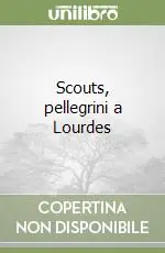 Consegna Rapida Scouts, pellegrini a Lourdes