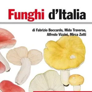 Ultime Pezzi Funghi d‘Italia