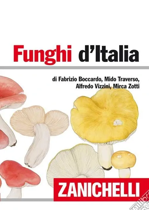 Ultime Pezzi Funghi d‘Italia