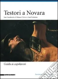 Testori a Novara. San Gaudenzio, il museo civico e sant‘Eufemia. Ediz. illustrata Più Venduto