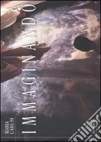 Immaginando. Ediz. illustrata Promo Stagionale