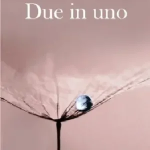 Due in uno Consegna Rapida