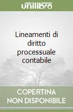 Compra Online Lineamenti di diritto processuale contabile
