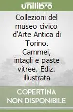 Offerta Speciale Collezioni del museo civico d‘Arte Antica di Torino. Cammei, intagli e paste vitree. Ediz. illustrata