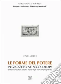 Professionale Le forme del potere in Grosseto nei secoli XII-XIV. Dimensione archivistica e storia degli ordinamenti giuridici. Con CD-ROM