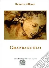 Sconto Grandangolo