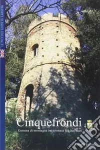 Cinquefrondi. Gemma di montagna incastonata fra due mari Quantità Limitata