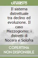 Il sistema distrettuale tra declino ed evoluzione. Il caso Mezzogiorno i distretti di Nocera e Solofra Solo Oggi