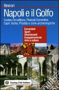 Nuova Collezione Napoli e il Golfo. Ediz. illustrata