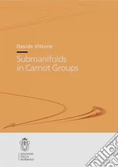 Submanifolds in Carnot groups Più Venduto