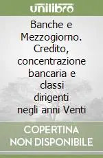 Banche e Mezzogiorno. Credito, concentrazione bancaria e classi dirigenti negli anni Venti Promozione
