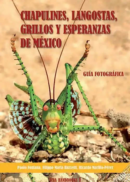Chapulines, langostas, grillos y esperanzas de Mexico-Grasshoppers, locusts, crickets and katydids of Mexico Economico