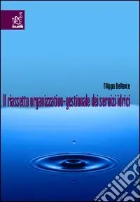 Offerta Il riassetto organizzativo-gestionale dei servizi idrici