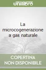 A Buon Prezzo La microcogenerazione a gas naturale