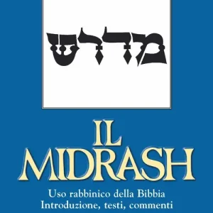 Pagamento Sicuro Il Midrash. Uso rabbinico della Bibbia. Introduzione, testi, commenti