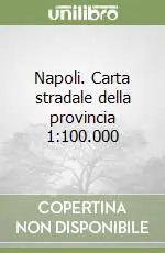 Promozione Esclusiva Napoli. Carta stradale della provincia 1 100.000