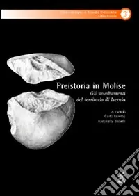 Preistoria in Molise. Gli insediamenti del territorio di Isernia Offerta Limitata