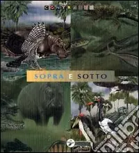Miglior Prezzo Sopra e sotto