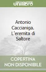 Antonio Caccianiga. L‘eremita di Saltore Bestseller
