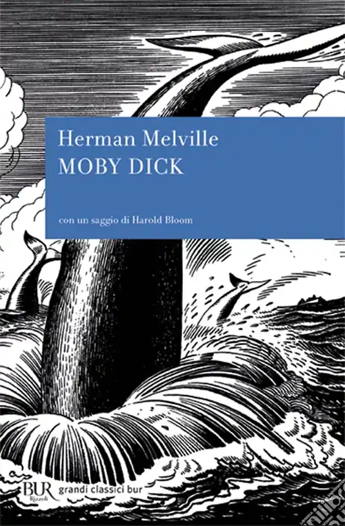 Scelto Dai Clienti Moby Dick