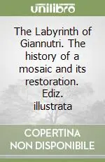 The Labyrinth of Giannutri. The history of a mosaic and its restoration. Ediz. illustrata Compra Oggi Stesso