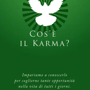 Cos‘è il karma? Impariamo a conoscerlo. Cos‘è la reincarnazione? Nuovo Arrivo