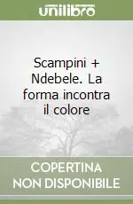 Spedizione Espresso Scampini + Ndebele. La forma incontra il colore