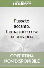 Passato accanto. Immagini e cose di provincia Miglior Prezzo