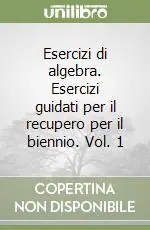 Esercizi di algebra. Esercizi guidati per il recupero per il biennio. Vol. 1 Direttamente Dal Produttore