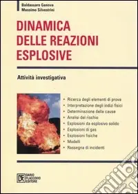 Affare Dinamica delle reazioni esplosive. Attività investigativa