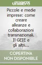 Piccole e medie imprese come creare alleanze e collaborazioni transnazionali. Il GEIE e gli altri strumenti per lo sviluppo e l‘internazionalizzazione delle PMI Prezzo Di Fabbrica