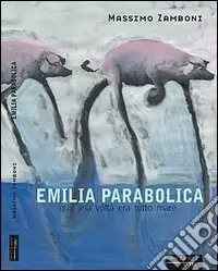 Saldi Emilia parabolica. Qua una volta era tutto mare