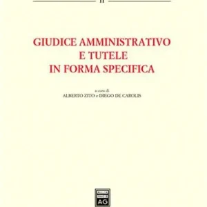 Giudice amministrativo e tutele in forma specifica. Atti della Tavola rotonda (Teramo, 3 maggio 2002) Pagamento Sicuro