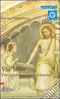Via lucis. Per celebrare Gesù risorto Compra Online