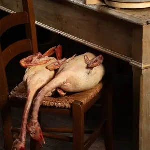 La mia Romagna Nuovo Arrivo