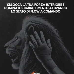Il metodo Flow nel combattimento Solo Oggi