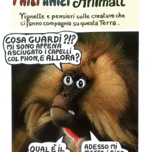 Solo Oggi I miei amici animali